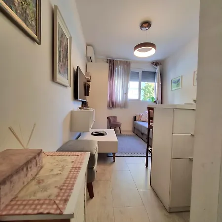 Apartment Apartman Podgorica Podgorica