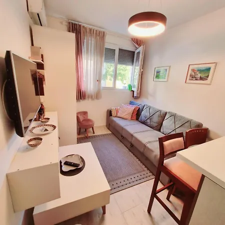 Апартаменты Apartman Podgorica *